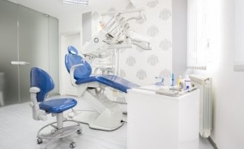Dental Shark