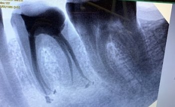 Fivar Dental