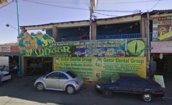 Gator Dental Group