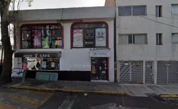 Dental OrthoClean Coapa