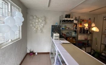 GUCA DEPOSITO DENTAL