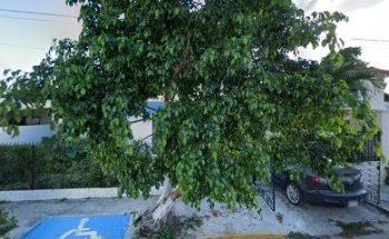 Ortodoncia Merida