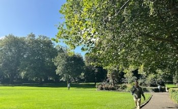 Merrion Square Dental | Dentist Dublin