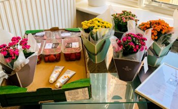 Serenity Dental