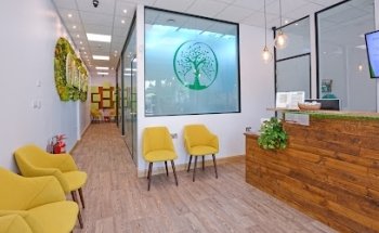 Olive Tree Dental