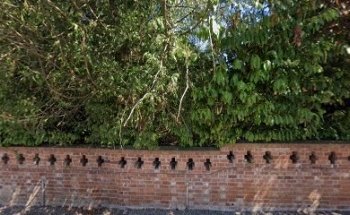 Redcliffe Orthodontics