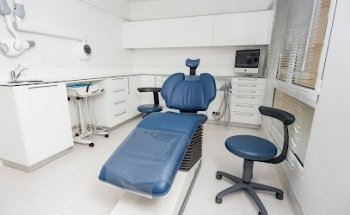 Periodontium