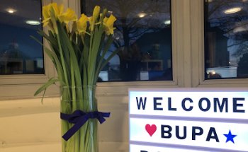 Bupa Dental Care Downend