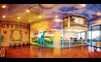 Rodeo Dental & Orthodontics of Cypress