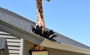 Grand Dental - Aurora