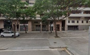 Dentina Clínica Dental