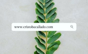 Dental Clinic Dr. Cristo Bacallado