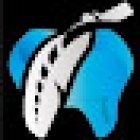 Newdental