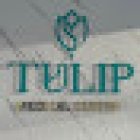 Tulip Medical Center