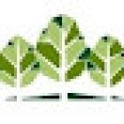 Brenchley Dental
