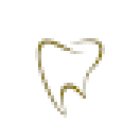 Pearl Dental