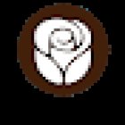 White Rose Dental Studio