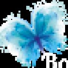 Bottesford Dental Practice