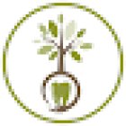 Smile Orchard - Dental Practice and Implant Centre