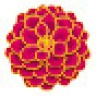 Charlton Road Dental