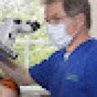 Andrew Brown Dental Limited