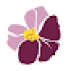 Prairie Rose Family Dentists North Office