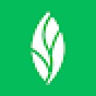 MINT Dentistry | Garland/Rockwall (Bass Pro Dr)