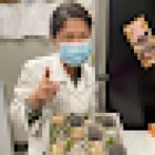 Sunbrite Dental
