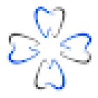 COPT Dental Design | Dr. Athanasius Morcos