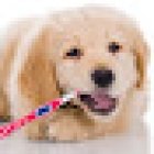 Family Dentistry on Manchaca