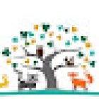 Spring Hill Pediatric Dentistry + Orthodontics