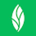 MINT dentistry | Little York