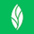 MINT dentistry | Plano (Coit Rd)